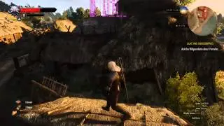 witcher 3 wild hunt on radeon 7970m