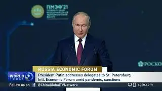 Russian President Putin addresses delegates in St. Petersburg International Economic Forum