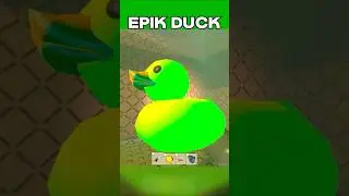 Grace EPIK DUCK | Roblox