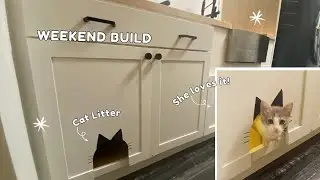 Закрытый кошачий туалет своими руками — Cat Station