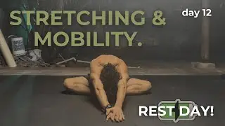 Essential 18 Min Rest Day Stretching & Mobility Routine | Day 12