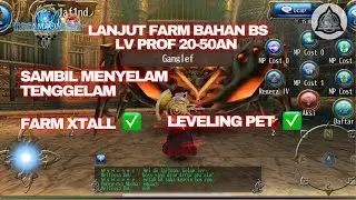 LEVELING PROF BS  PERSIAPAN ANNIV #toramonlinelive #toramindopresentlivestreaming #bstoramonline