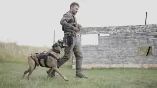 Dog Training Aggression Control｜｜D20 Nov 2025