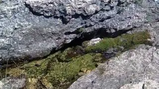 Akcasu köyü