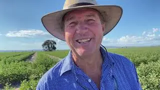 CA ex ADF video captions