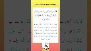 Surah Al-Baqarah Verse 69 tarjuma....❤️ #quransurah  #albaqarah  #translation