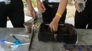 สื่อการสอนวิธีการเพาะพันธุ์โดยการควบแน่น