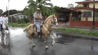 TOPE DE CABALLOS EN JIMENEZ DE POCOC&Iacute;