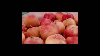 amazing facts about apple