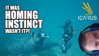 Icarus: Homing Instinct talent, gameplay and guide