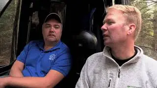 Det grønne gullet