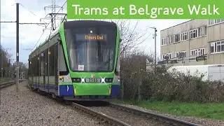 Trams At Belgrave Walk (London Trams)