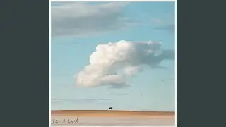 Let It Land