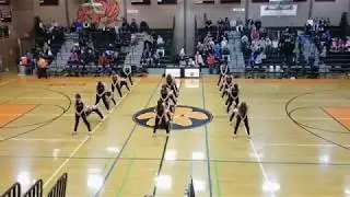 RHS Dance Team- DNA/Lemon Routine (2017-2018)