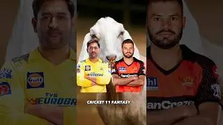 CSK VS SRH PROBABLY IX COMPARISON ⚡#cricket #ipl2023 #ytshorts #csk #msdhoni