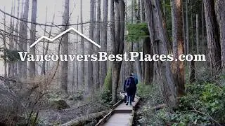 Whyte Lake Trail