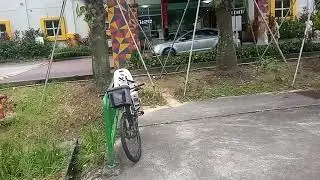 Ride on Man NL323F SMB1588A 974 | Opp Jurong Camp - Joo Koon Int
