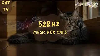 528 Hz Cat Therapy &ndash; Why Vets Recommend THIS Sound to Calm Cats!