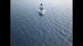 Rhino in water