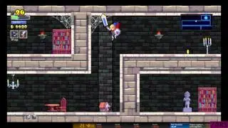 any% zero deaths - 30:18 World Record (uncontested) [Rogue Legacy]