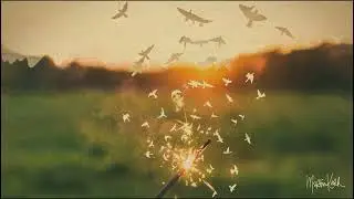 Martin Kerr - 2nd Street (Official Lyric Video)
