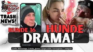 Kim Virginia Hunde in LEBENSGEFAHR? RAGE BAITING VORWURF und ANGRIFF auf Nikola? DRAMA geht weiter!
