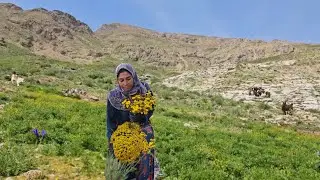 Nimadin Life | The Breathtaking Adventure of a Nomadic Woman in Iran&rsquo;s Wild Mountains