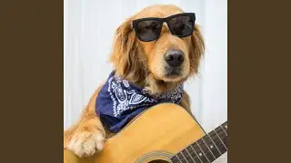 Anthem of Playful Pups