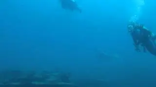 Armageddon, West Shore, St. Croix, USVI