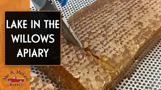 Beekeeping | Lake in The Willows Apiary: Farm Tour (2020)