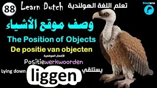 د170- خطوة 88: وصف موقع الأشياء في اللغة الهولندية - يستلقي 🐬