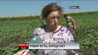 Москва закрывает рынки для сбыта молдавских овощей и фруктов    Canal3 md Новос