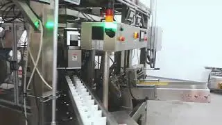 Smart Weigh-Chicken shredded & sauce mixture packing line