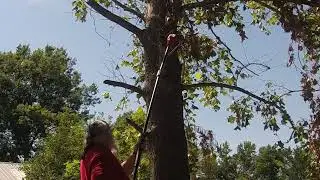 CRAFTSMAN V20 Cordless Pole Saw 14 Foot Reach Review