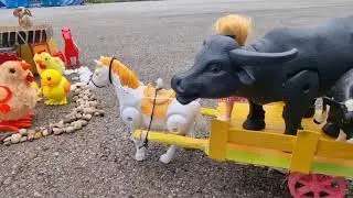 Mini zoo and zoo house/ how doll helps buffalo/ cow with buffalo/ mini zoo house/ bird and animals/