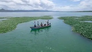 Una gran pesca y cocina de enormes blancos usando pupos de carnada