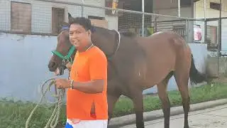 TIP NI TAKESHI  🏇 SAN LAZARO LEISURE PARK🏇 JUNE 24,2022🏇 ARAW NG MAYNILA