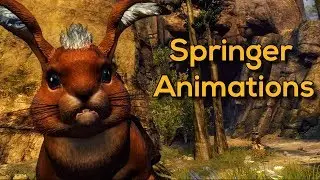 Guild Wars 2 - Springer Mount: All animations