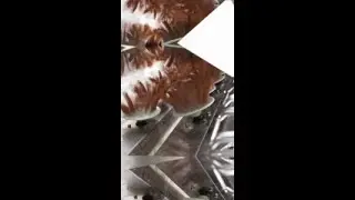 How an Automatic Poultry Plucking Machine Efficiently Removes Feathers