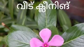 Cleaning day! #youtube video #cleaning #vlog #malayalamvlog 