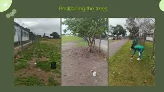 Tree Planting and Environmental Awareness Initiative – Hibernia Primary School - 24 May 2024