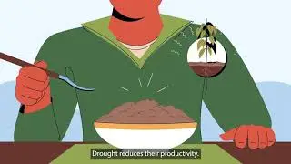 Tackling Drought and Salinity Stress: Innovative Solutions for Resilient Agri-Food Systems | FOSC KH