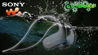 Обзор водонепроницаемого плеера для фитнеса Sony NW WS413