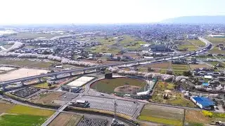 【神戸町】輪中堤の桜