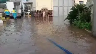 Maltempo, Bisceglie tra le citt&agrave; pi&ugrave; colpite in Puglia - Video delle Misericordie della Bat