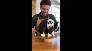 Ultimate Fastest Eater Challenge Dogs, Cats , Humans Gone Wild 🍔🐶🐱 #shorts #viralshort