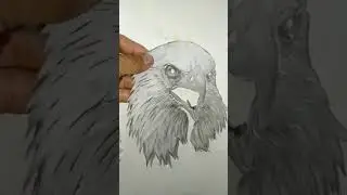 DIY EAGLE STENCIL FOR AIRBRUSH CUSTOM PAINTING...😊👍🤑