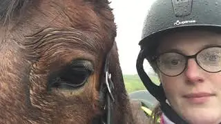 Horse Adventure - 2day trail ride alone with horse along the river IJssel