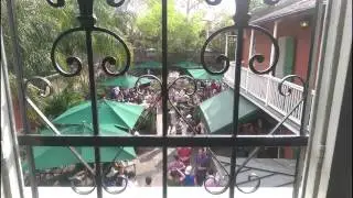 My Trip To NOLA in March 2015