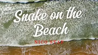 Snake on the Beach - [1Hour Relaxing Music] Stress Relief Music, Sleep Music, Calming Music, Study